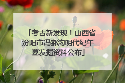 考古新发现！山西省汾阳市冯郝沟明代纪年墓发掘资料公布